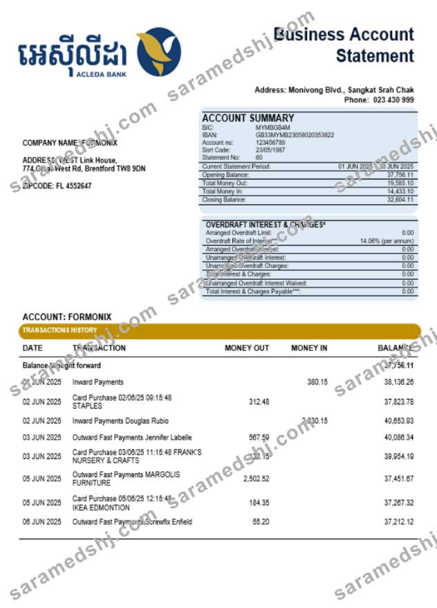 Acleda company statement Word and PDF format